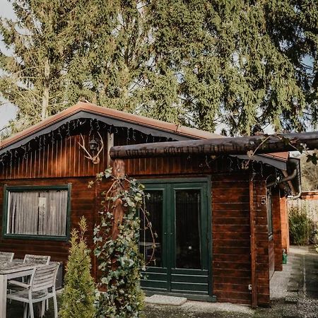 Cosy And Romantic Forest House Met Sauna Op De Veluwe Putten Exteriér fotografie