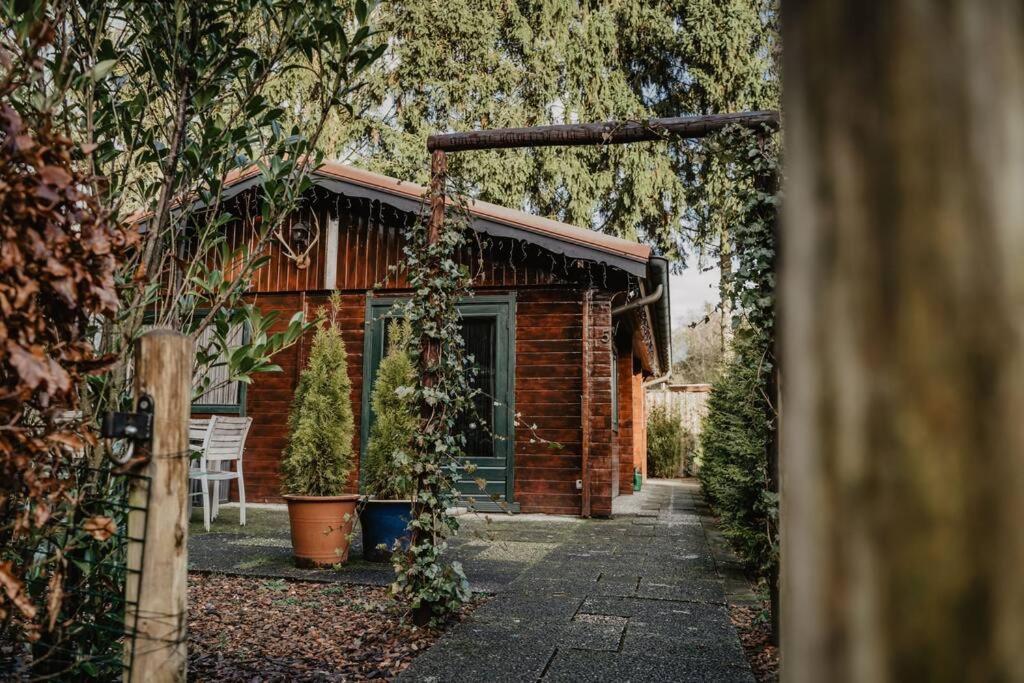 Cosy And Romantic Forest House Met Sauna Op De Veluwe Putten Exteriér fotografie